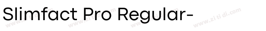 Slimfact Pro Regular字体转换